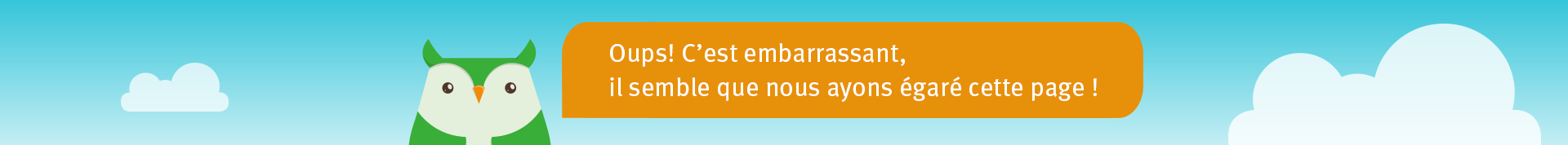 banniere de la page 404